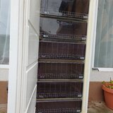 Spre vanzare congelator Alaska cu sase sertare